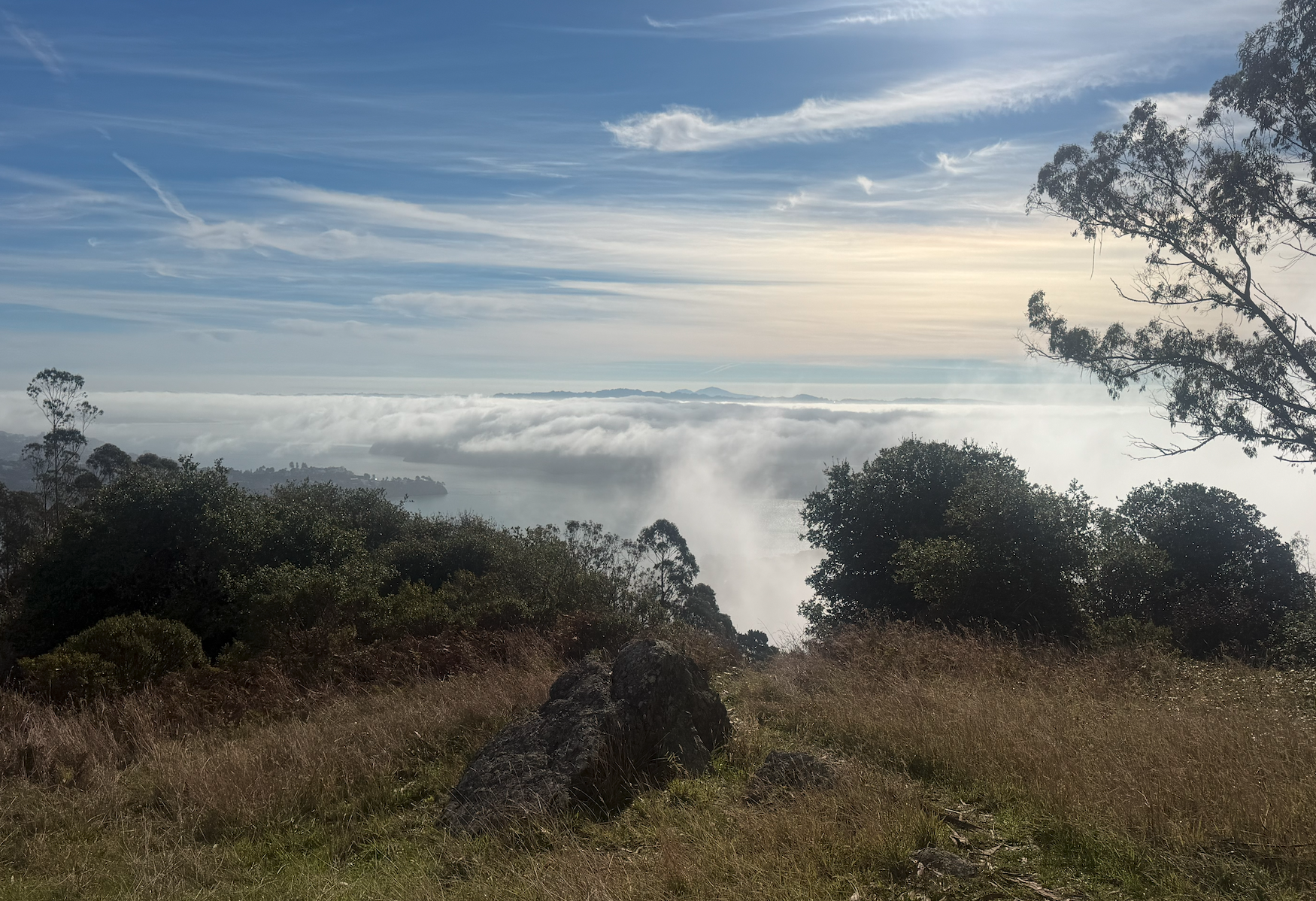 A cloud inversion rolling over the bay, seen from a grassy hilltop in the Marin Headlands